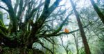 Teddy Kelley / Unsplash.com