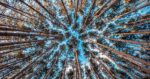 Teddy Kelley / Unsplash.com