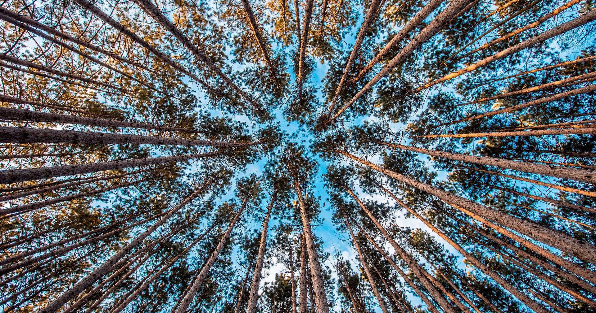 Teddy Kelley / Unsplash.com