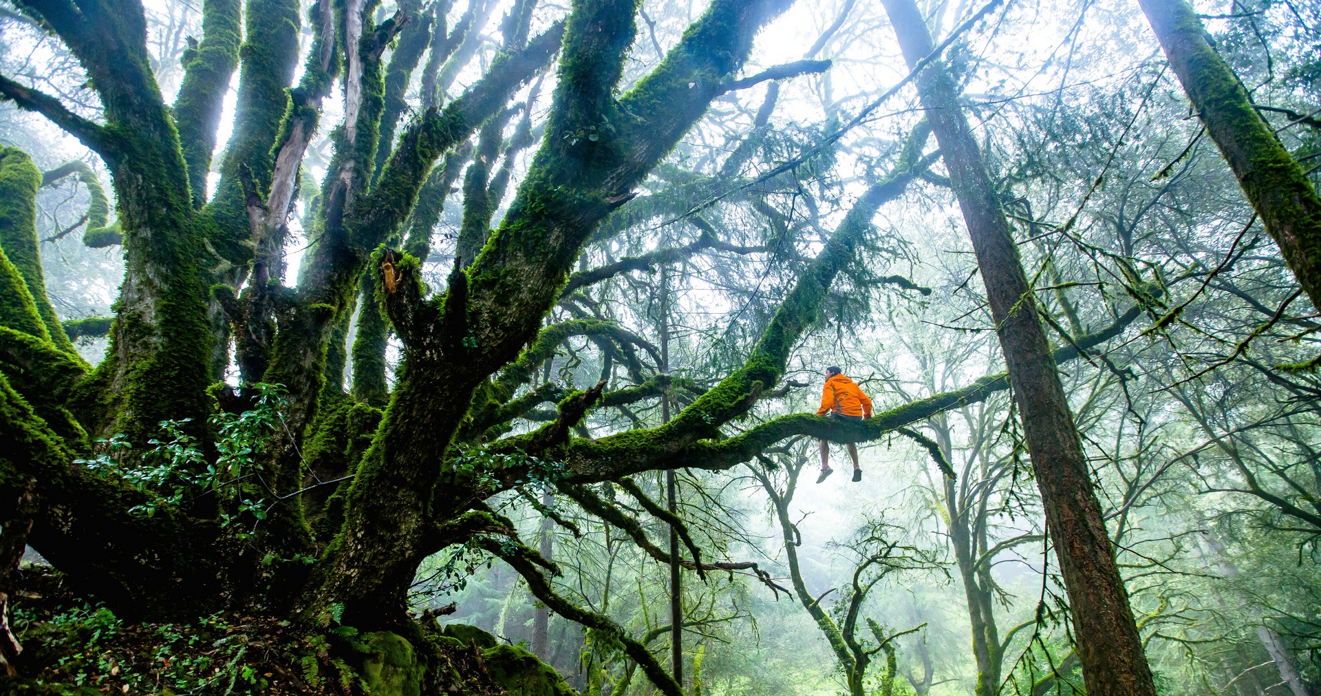 Teddy Kelley / Unsplash.com