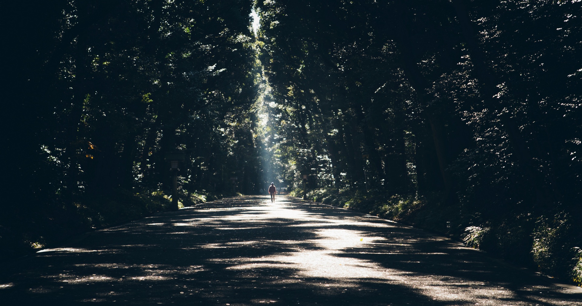 Freddie Marriage / Unsplash.com