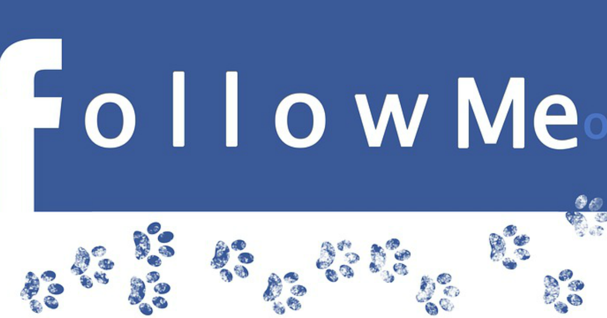 Nádasi Krisz: 5 könyvmarketing tipp: Mit posztoljak, hogy megnyerjem az olvasók bizalmát?