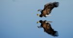 Ray Hennessy / Unsplash.com