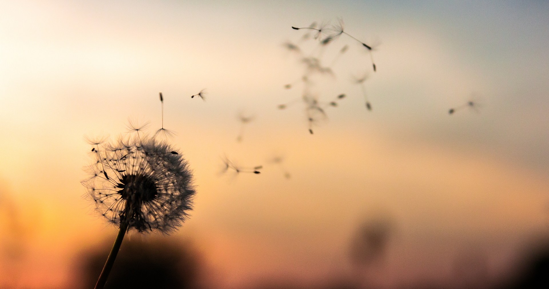 Dawid Zawila / Unsplash.com