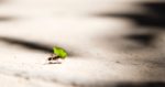 Vlad Tchompalov / Unsplash.com
