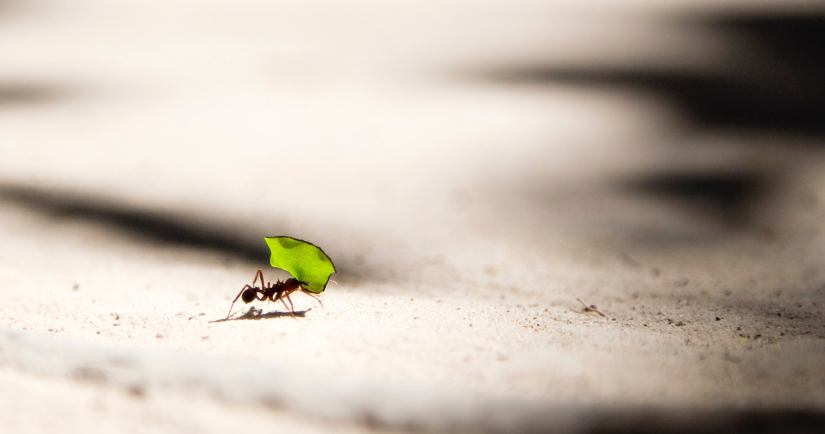 Vlad Tchompalov / Unsplash.com