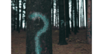 Evan Dennis / Unsplash.com