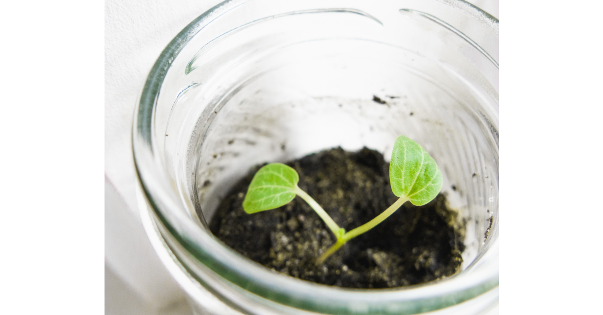 Greg Rosenke / Unsplash.com