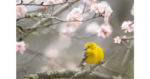 Ray Hennessy-MH / Unsplash.com