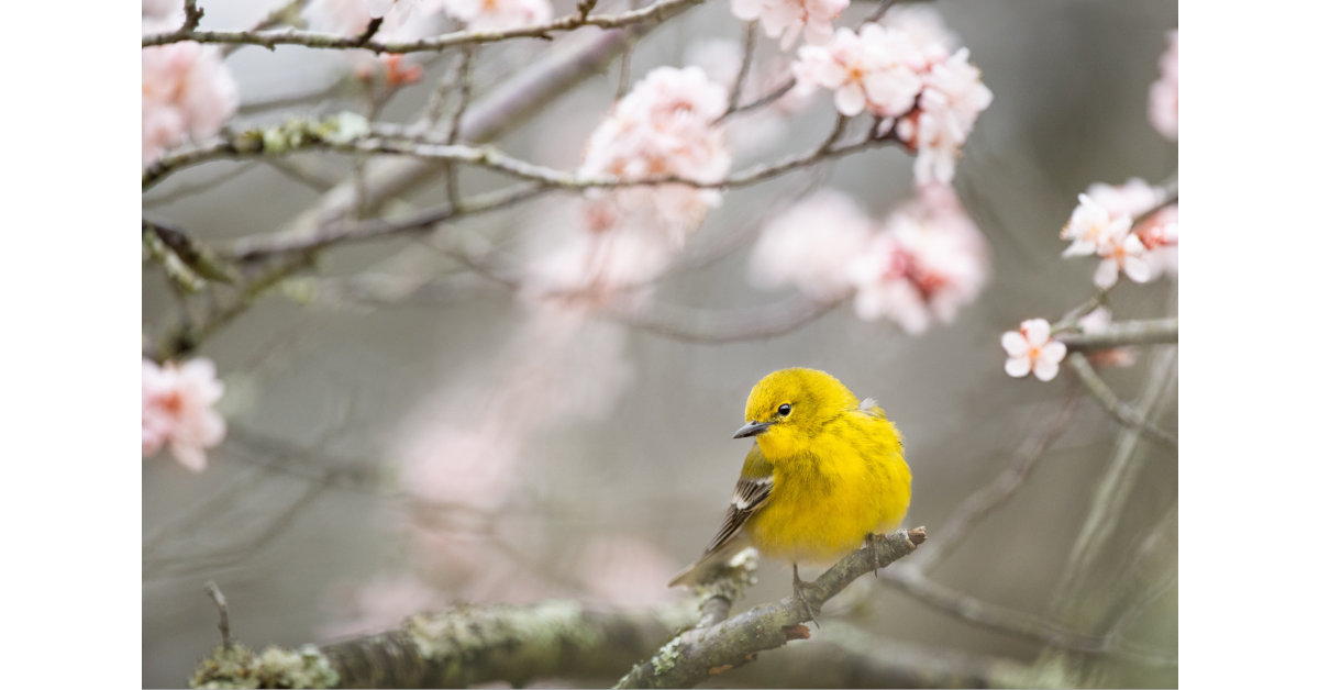 Ray Hennessy-MH / Unsplash.com