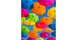 Guy Stevens / Unsplash.com
