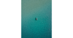 Lachlan Dempsey / Unsplash.com