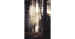 Casey Horner / Unsplash.com