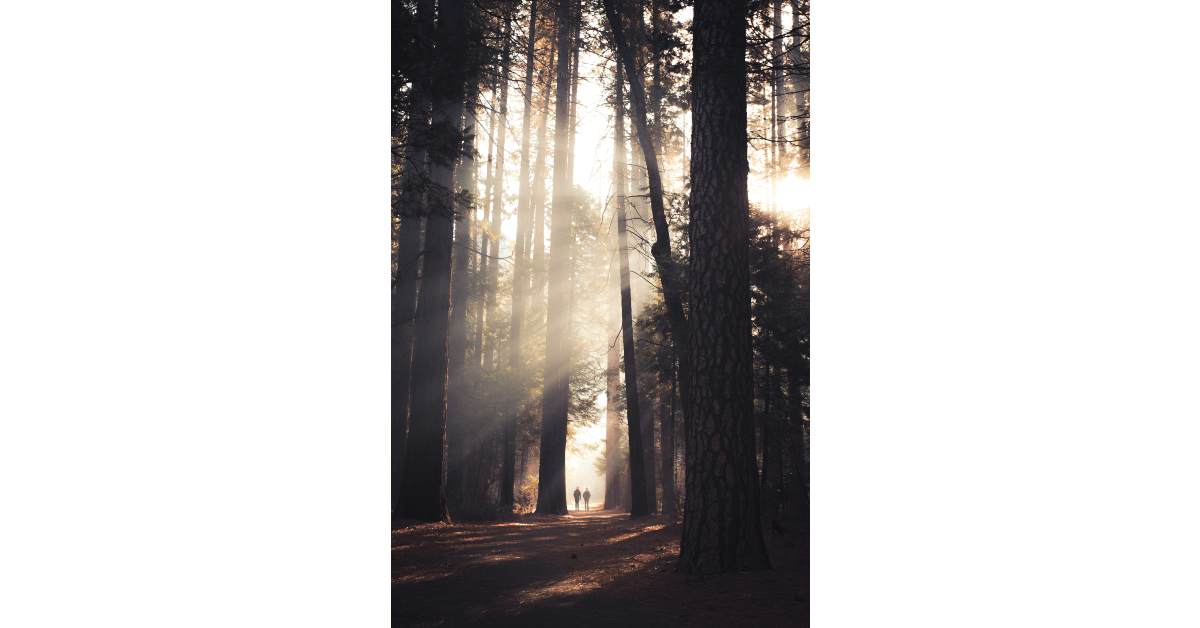 Casey Horner / Unsplash.com