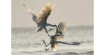 Chris Sabor / Unsplash.com