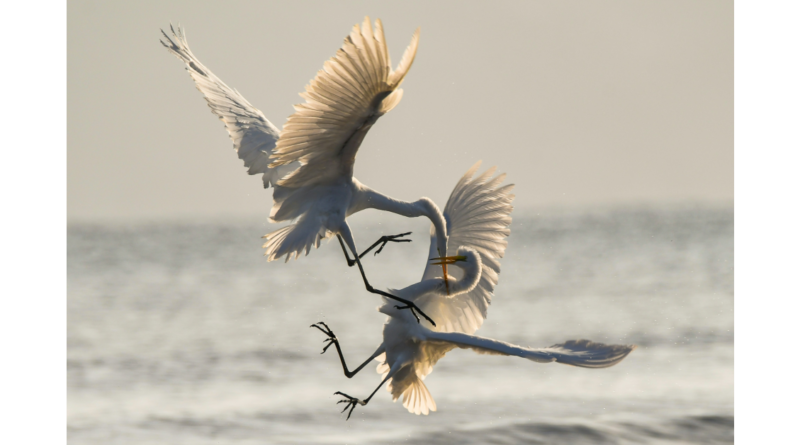 Chris Sabor / Unsplash.com